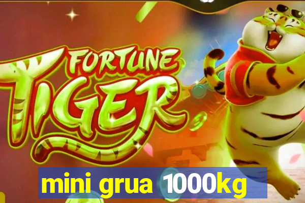 mini grua 1000kg